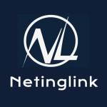 Netinglink Profile Picture